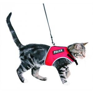 Sweet Harness Leash voor katten test