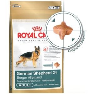 German Shepherd test