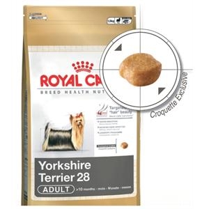 Yorkshire Terrier test