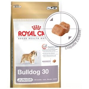 Bulldog Junior test