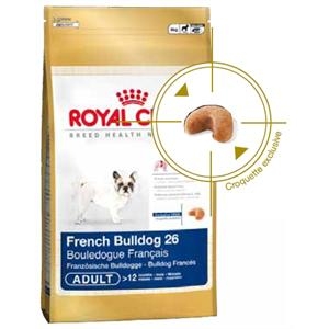 French Bulldog test
