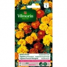 Tagetes Dubbel Dwerg gemengd - S1