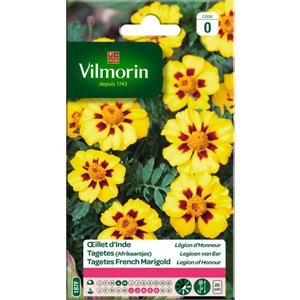 Tagetes (Afrikaantjes) Legioen van Eer test