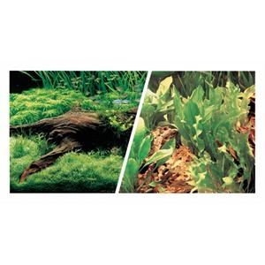 Ma Achterwand Wortels/Planten 45,7Cmx7,6M 50X9,7X9 test