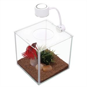 Ma Betta Kit Kubus In Glas+Led 18X18X18 cm test