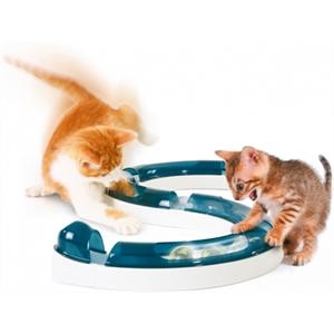 Cats Design Senses Play Circuit test