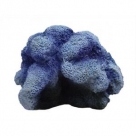 Decoration Corail Bleu 17X14,5X11cm