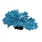 Decoration Corail Bleu 23X18X14cm