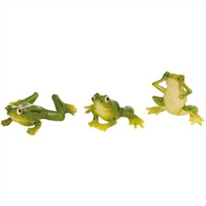Decoratie Frisky Frogs Ass. test