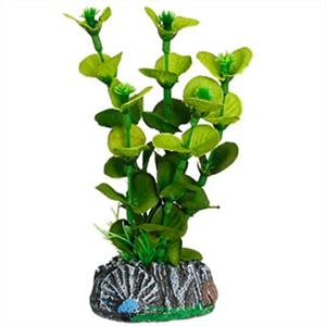 Aquatic Plant Zijde Brasil Plant5 S test