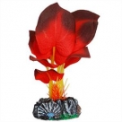 Aquatic Plant Zijde Tanzania Plant1 Xs