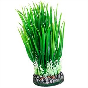 Aquatic Plant Plastic Sri Lanka Plant1 S test