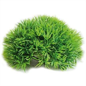 Aquarium Plant Halve Mosbal 12cm test