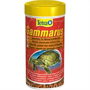 Tetra Gammarus test