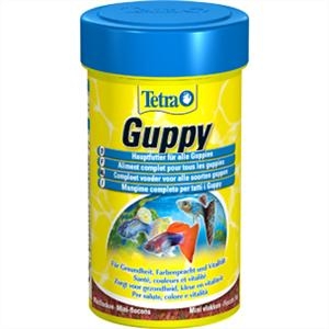 Tetra Guppy Food 100ml test