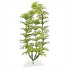Tetra Plant S - 15cm Ambulia