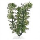Tetra Plant S - 15cm Cabomba