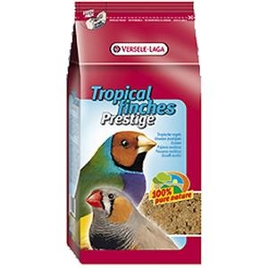 Tropische Vogels test