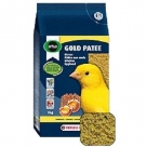 Gold patee canaris