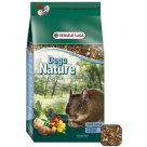 Degu Nature