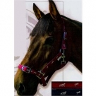 Licou motif cheval poney