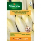 Endive Witloof Crenoline HF1