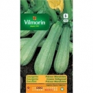 Courgette Groene Vollegrond