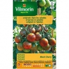 Tomate Black Cherry