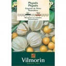 Physalis Ananaskers