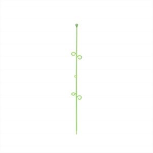 Orchideco Elegant -- Lime Vert test