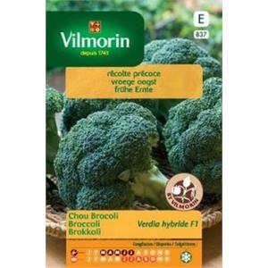 Broccoli Verdia test