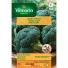 Broccoli Verdia