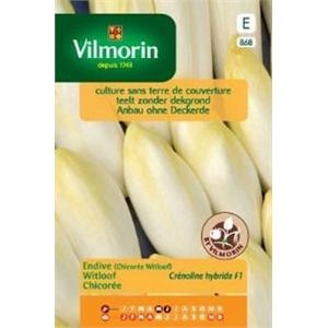 Endive (Chicore Witloof) Crenoline test