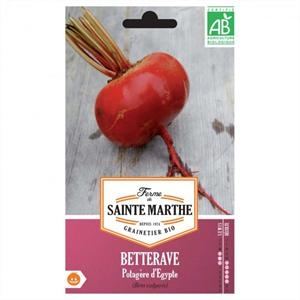 Beet Egypte test