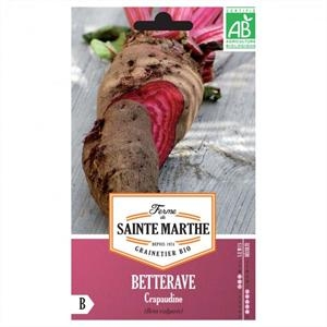 Betterave Potagere Crapaudine test