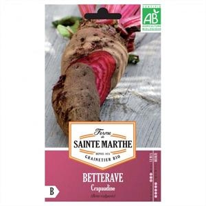 Beet Potagre Crapaudine test