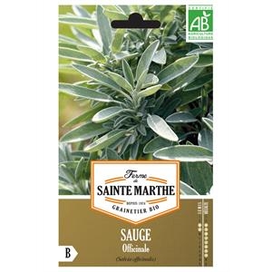 Sauge Officinale test