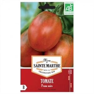 Tomate Prune Noire test