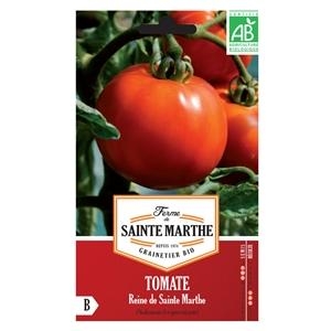 Tomate Reine De Sainte-Marthe test