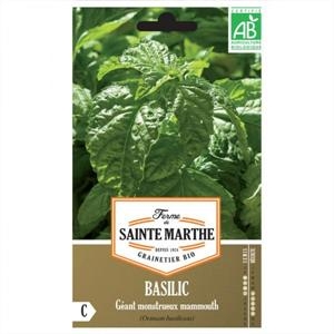 Giant Basil Monsterlijke Mammoth test