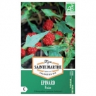 Epinard Fraise