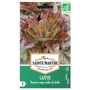 Laitue Romaine Rouge Oreilles Du Diable test