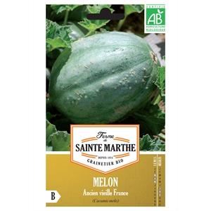 Melon Ancien Vieille France test