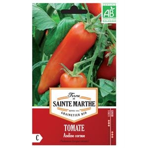 Tomate Andine Cornue (Des Andes) test