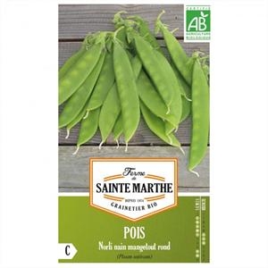 Pois Nain Mangetout Grain Rond Norli test