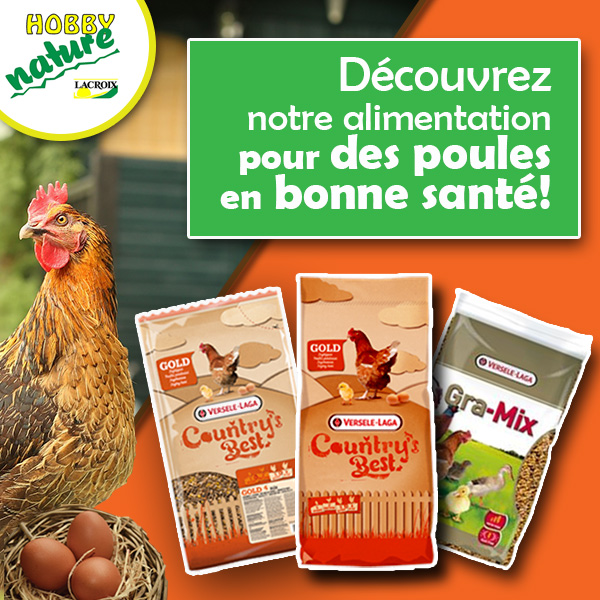 Mélange de graines et granulé Poules pondeuses Gold 4 mix Versele-Laga