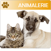 animalerie