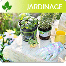 jardinage